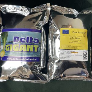 Delta Gigant
