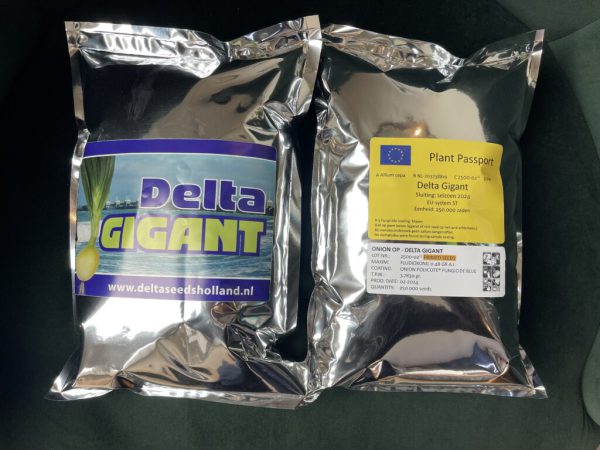 Delta Gigant ongecoat